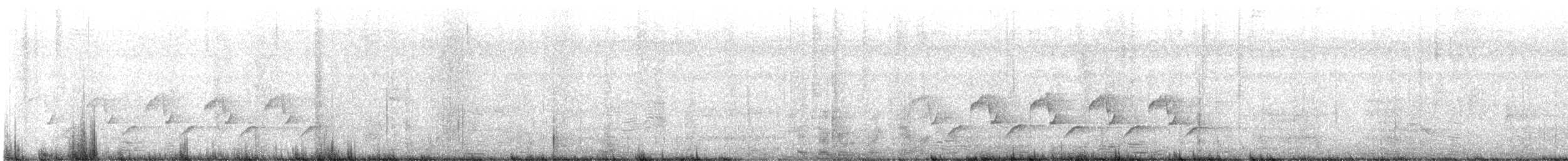 Поплітник каролінський - ML618460384
