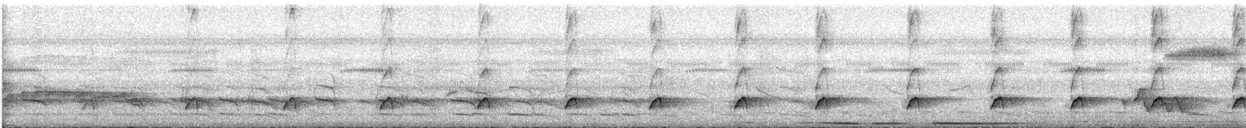 Cuco Ardilla Común (thermophila) - ML618461949