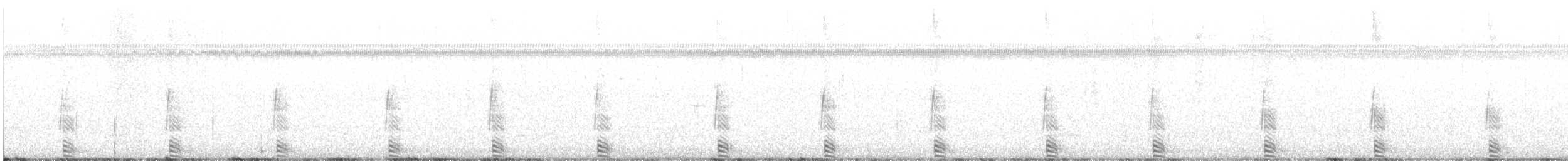 Marzaiola americana - ML618462226