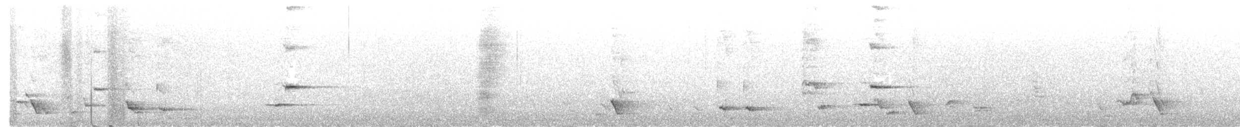 Méliphage carillonneur - ML618465990