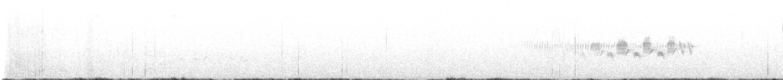 Black-throated Gray Warbler - ML618468883