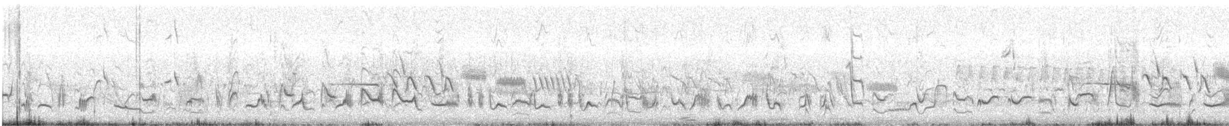 Bendire's Thrasher - ML618469096