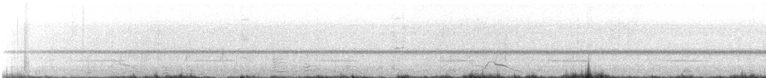 Pauraquenachtschwalbe - ML618470281