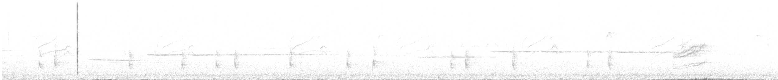 Дрізд-короткодзьоб плямистоволий - ML618473142