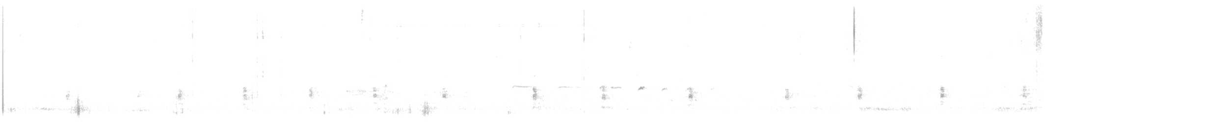 King Rail - ML618474339