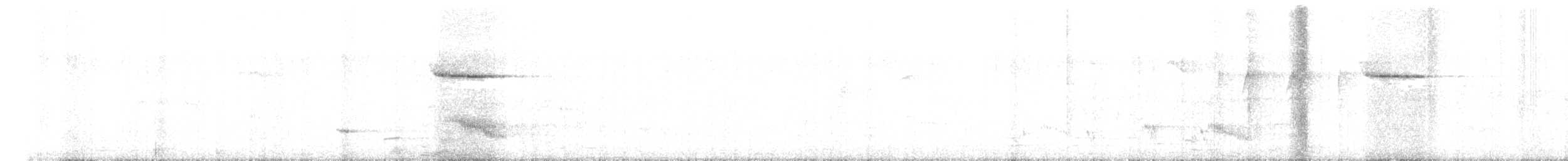 白斑紫嘯鶇 - ML618477893
