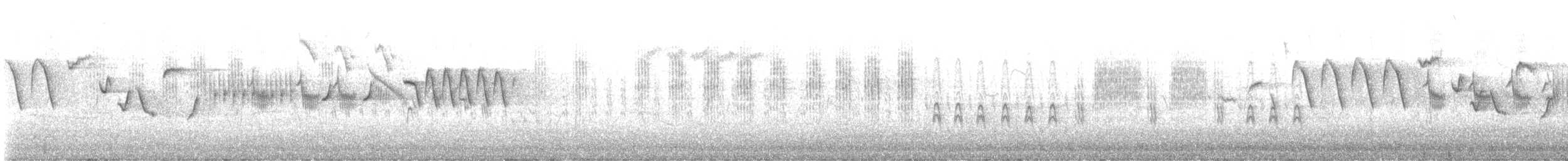 Phragmite des joncs - ML618477941