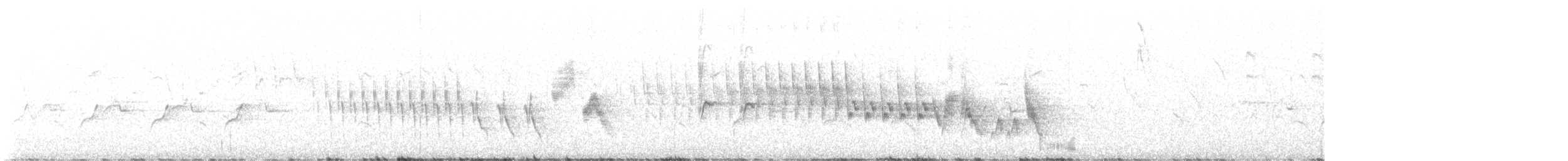 פרוש מצוי - ML618478681