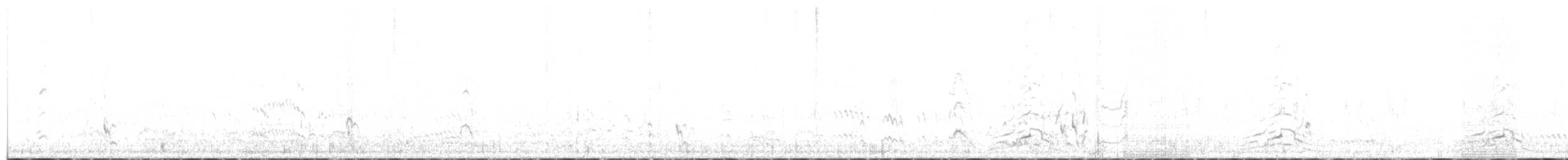 lžičák širokozobý - ML618479737