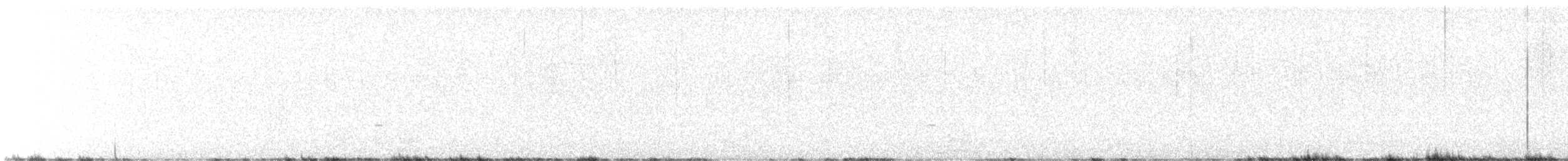 gråsolitærtrost - ML618481301
