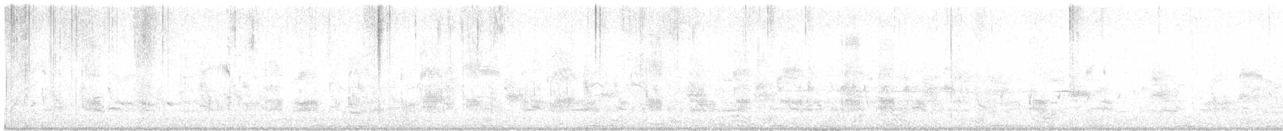 Weißbart-Seeschwalbe - ML618482780