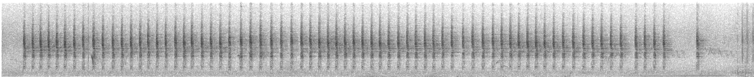 Souimanga améthyste - ML618485878