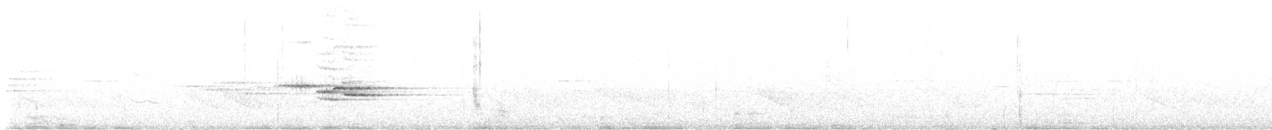 Myiomèle à queue blanche - ML618486462