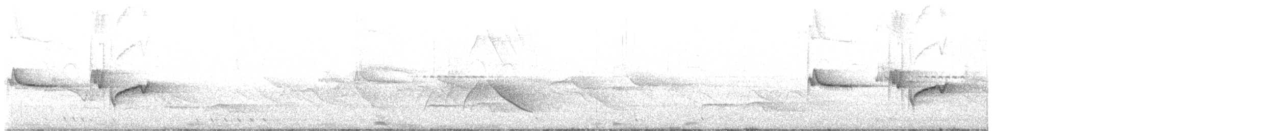 Charlatán de Steere - ML618486552