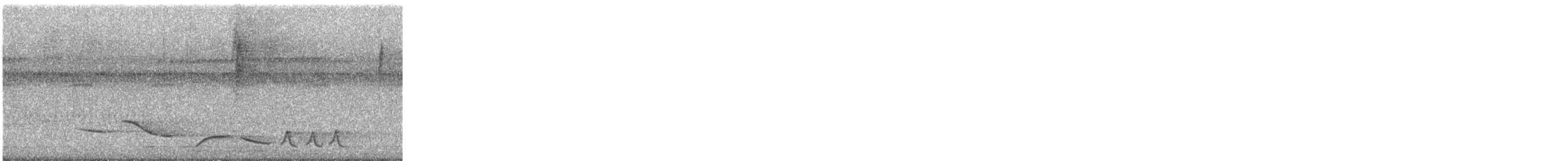 Black-throated Wren - ML618489308