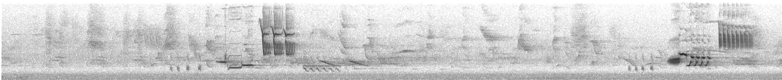 Wood Thrush - ML618492452