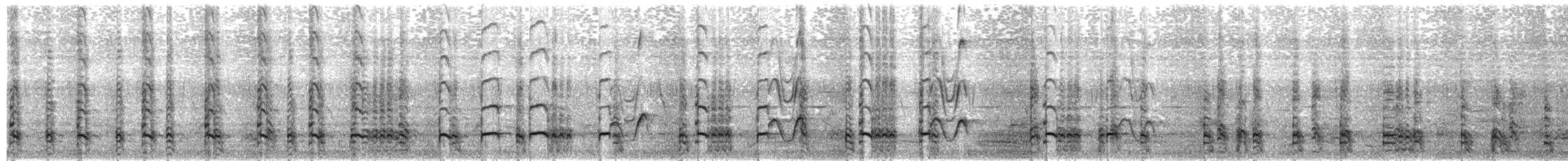 Schopffasan - ML618493325