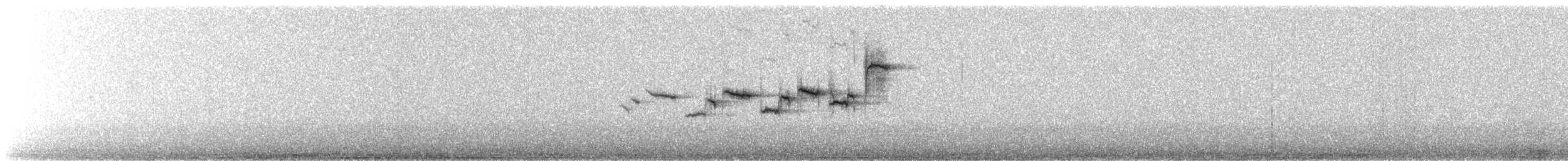 Hermit Warbler - ML618493630