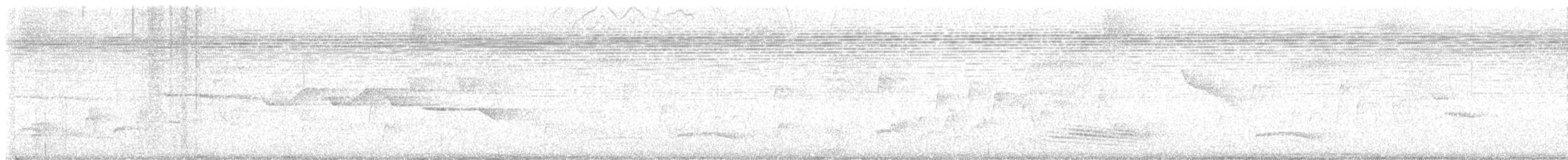 Long-tailed Manakin - ML618493892