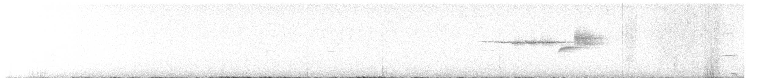 Paruline à gorge noire - ML618495287