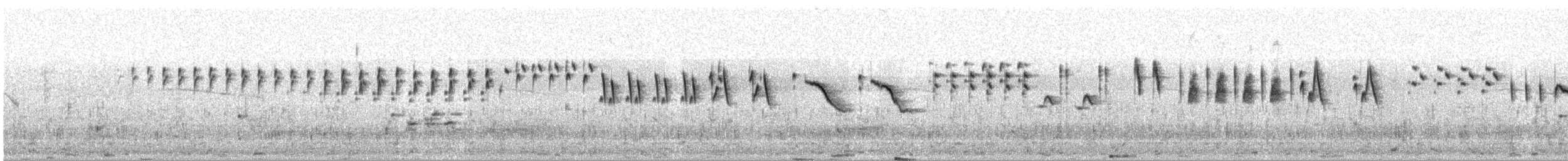 Малабарская долгохвостка - ML618496164