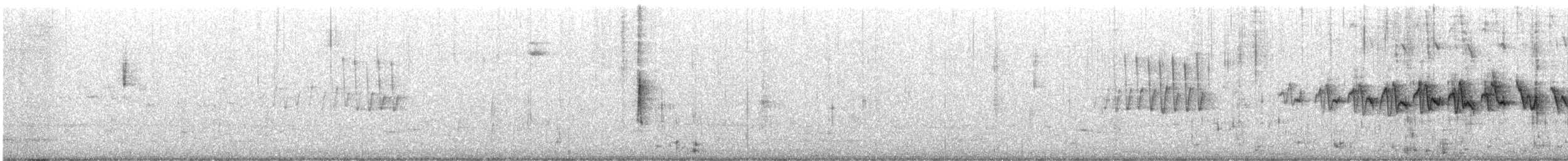 Taçlı Ötleğen (coronata x auduboni) - ML618496437