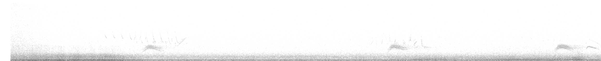 Серогрудый тиранн - ML618499425