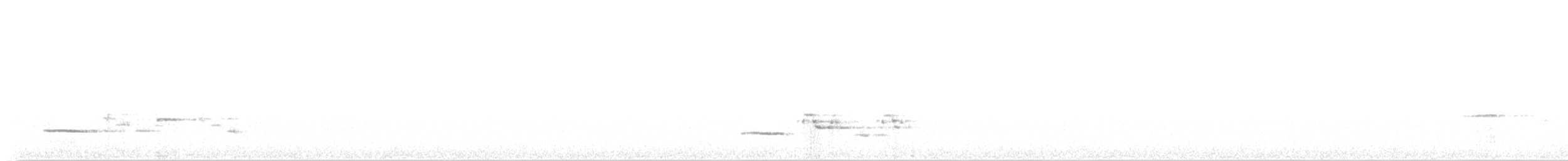 Дрізд-короткодзьоб плямистоволий - ML618501330