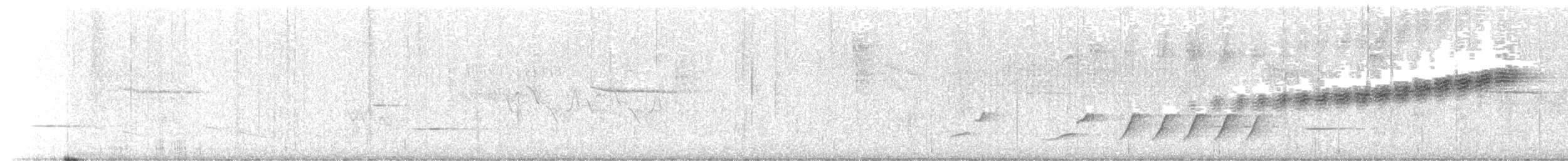 Prairie Warbler - ML618501513