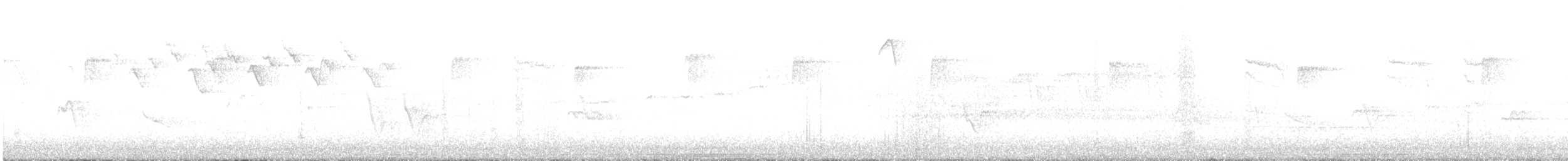 lesňáček černobílý - ML618506461