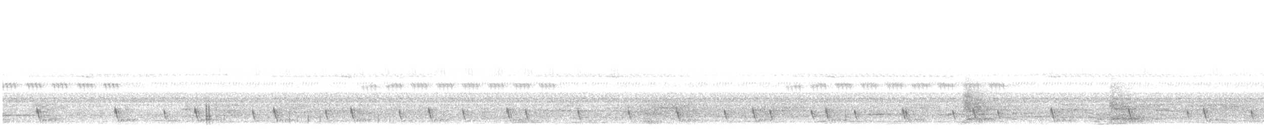 Large-tailed Nightjar - ML618508648