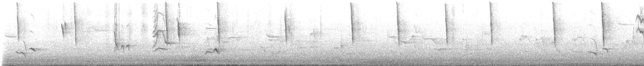 Gray Catbird - ML618510195