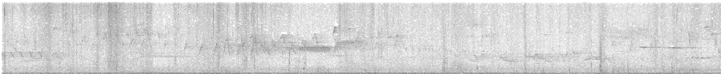Northern Waterthrush - ML618512581