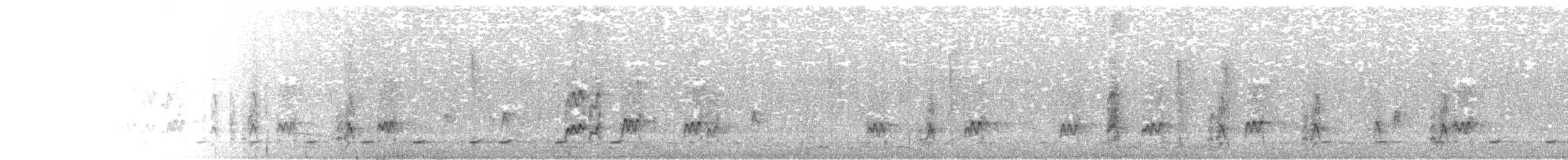 Nutting's/Salvadoran Flycatcher - ML618515375