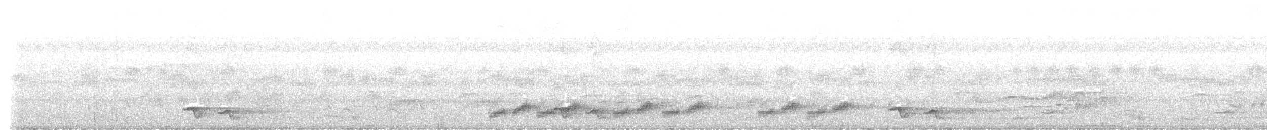 Тимелія-криводзьоб чорновуса - ML618515702