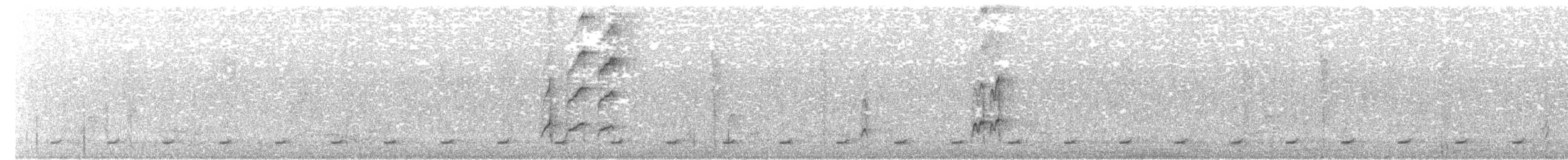 Nutting's/Salvadoran Flycatcher - ML618515814