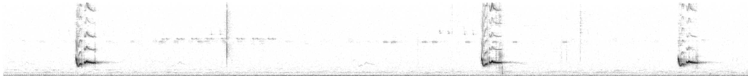 Длинноклювый крапивник - ML618516265