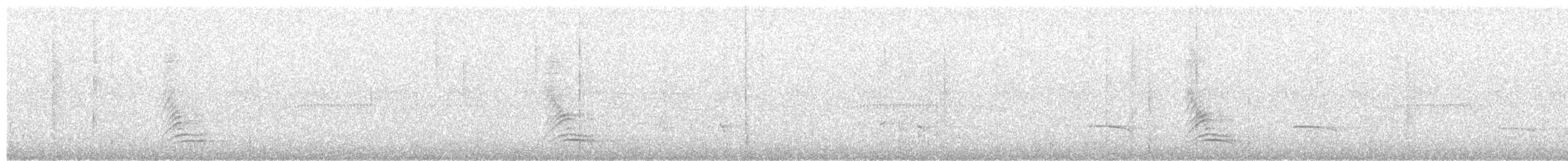 White-necked Thrush - ML618516636