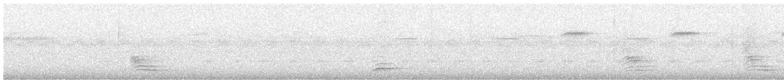 White-necked Thrush - ML618516637