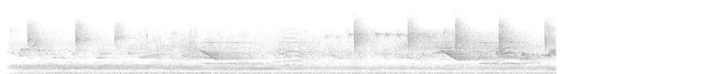 Veery - ML618519399