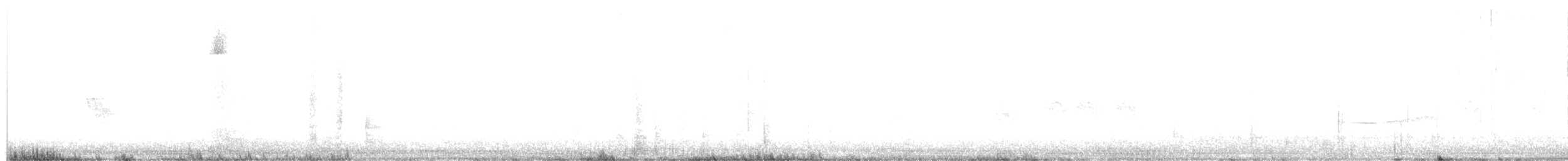 Moqueur à bec courbe (groupe curvirostre) - ML618519986