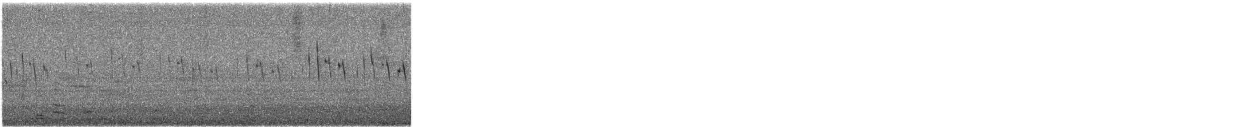 Chimney Swift - ML618521464