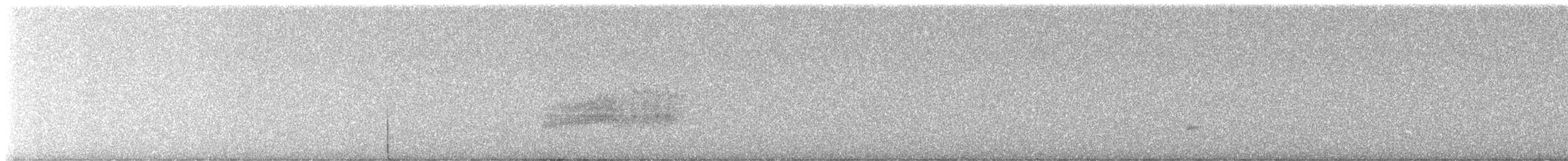 Светлобрюхий фиби - ML618521534