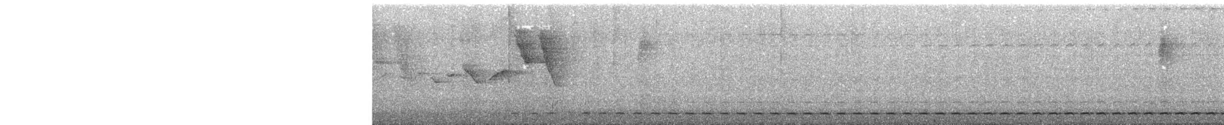 Streifenbrust-Ameisendrossel - ML618522681