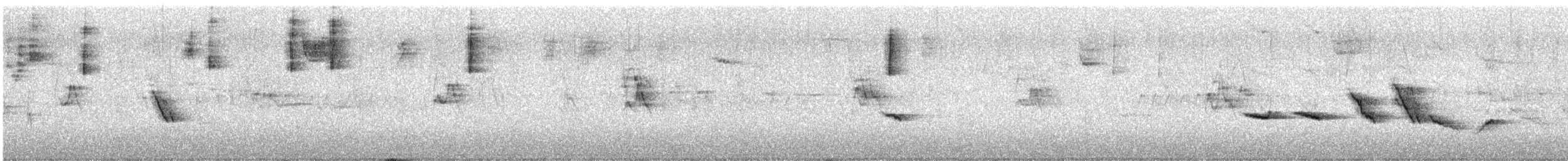Пестрогрудая овсянка (Лисья) - ML618523668