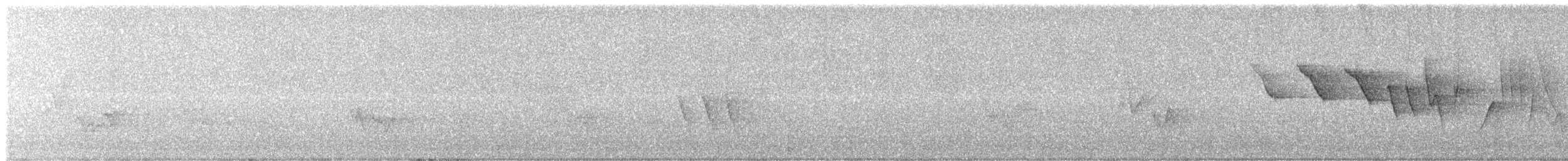 Трясогузковый певун - ML618525939