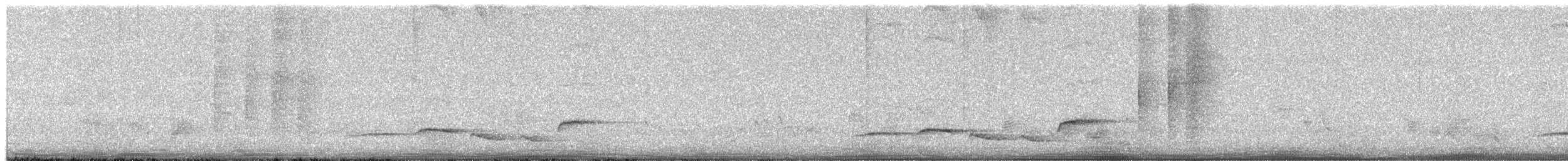 Shama à croupion blanc (groupe malabaricus) - ML618526915