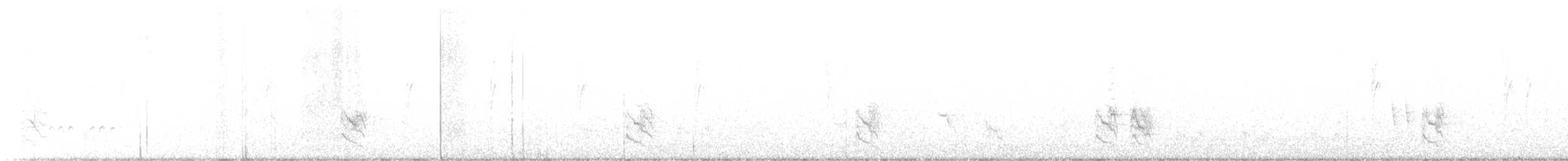 Длинноклювый пересмешник - ML618527377