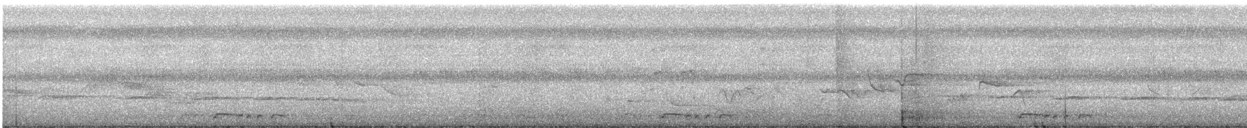 holoubek vlnkovaný - ML618529592