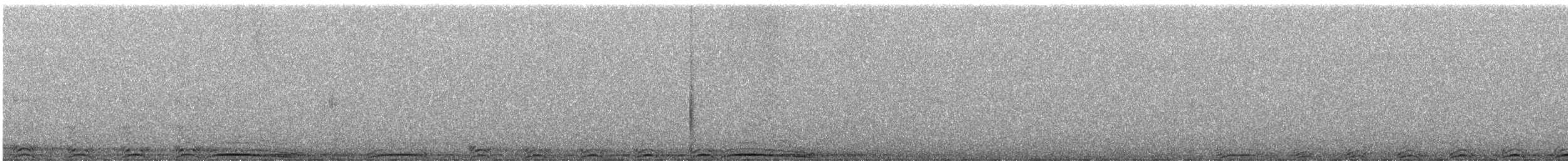 Chouette rayée - ML618530118